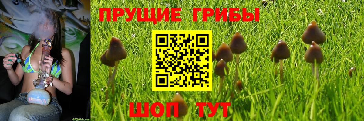 Псилоцибиновые грибы MAGIC MUSHROOMS  Вход с VPN  Тимашёвск 